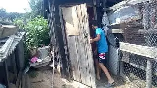 Василич насрал