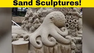 These People Made Some Incredible Sand Sculptures! 🏰