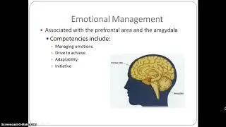 Psychology of Success: Lecture 6