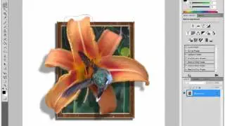 Tutorial Photoshop CS5 Bekerja Dengan Lasso Tool
