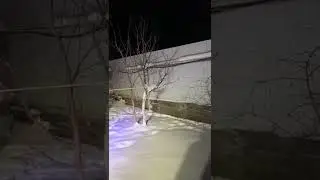 светодиодное освещение