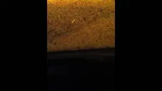 DJ Monsta Bass Vid