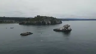 Trinidad head Trinidad CA