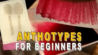 Anthotypes For Beginners | Plant Based Photography!