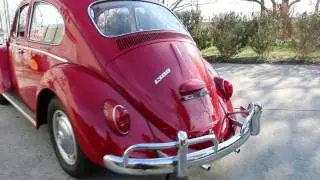 1966 VW Classic Beetle For Sale~Fantastic Original Survivor~Must See to Appreciate!