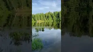 ЛАЙФХАК - Выходные на Природе