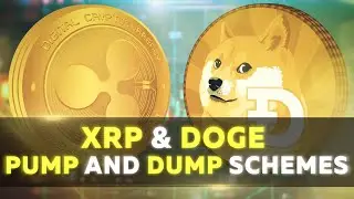 The Wall Street Bets | XRP and Dogecoin | UNI & COMP With New Highs
