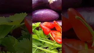 It's always fun to harvesting some vegetables #minivlog #harvest #berkebun #asmr #minigarden #chili