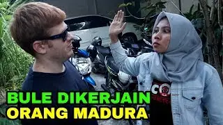 BULE INI DIKERJAIN ORANG MADURA