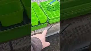 Bootstrap Farmers Trays