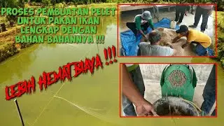 Proses Pembuatan Pelet Pakan Ikan || Lebih Hemat Biaya