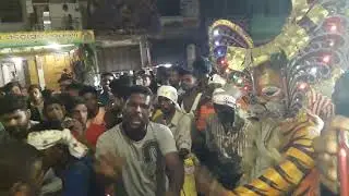 Tiger Dens Bellaguntha || ମନସିକ ବାଘବେଶ ବେଲଗୁଣ୍ଠା || Maa Bramhanadevi Jatra 2023 #gundichaelectronics