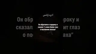 Кто ты? #джихад #ислам #Аллах #нашид #бадр #религия #islam  #badr  #allah #muhammad #palestine