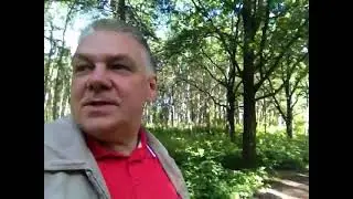 Минуло 30 дней как я пишу стихи #поэзия #импровизация #shorts #мистика
