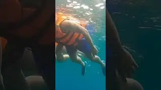 finding Nemo 😁