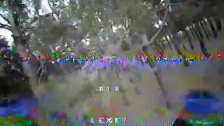 micro brushless 08.11.2017_1