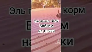 8 марта 2022 г.