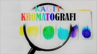 Kağıt Kromatografisi Deneyi