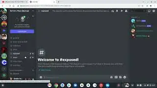 A Backup Discord Server In Case My old One gets Hacked or deleted (link in description)