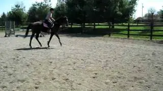 Holly Payne Schooling Young Horse.AVI