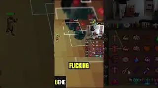 Peak RuneScape Efficiency  