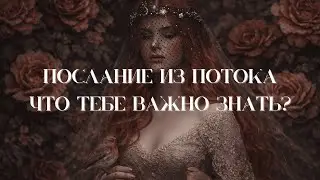 Послание из потока | Что тебе важно знать? | Таро
