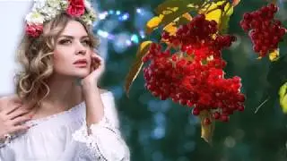 Красная смородина.