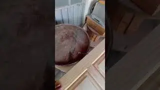 Así Pintamos #shorts