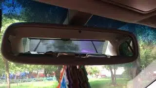 IMG 2539