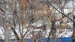 стройка на заречном рынке (23.10.2014)