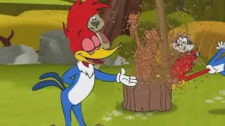 ¡Woody, el pájaro carpintero!| El Pájaro Loco | Dibujos Animados en Español