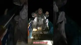 UMPAN SEGEDE GABAN. DIHANTAM MOSTER #fishing #fish