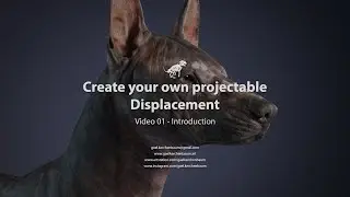Custom Texturing XYZ displacement - Intro