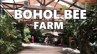What's the Real Reason Behind BOHOL BEE FARM's Success?