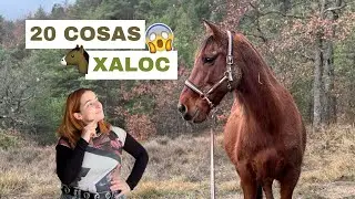 20 cosas sobre Xaloc | Laia x Xaloc