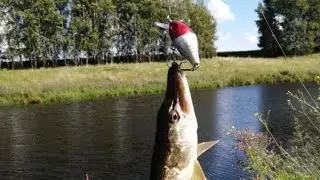 Уловистый воблер с Алиэкспресс!
