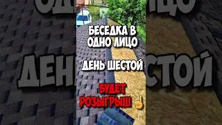 беседка в одно лицо день шестой. 