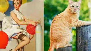 KUCING BERPOSE BAK SEORANG MODEL