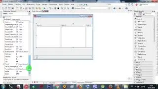 Rad Studio Delphi 014 ScrollBar - 002 Panel & ScrollBar