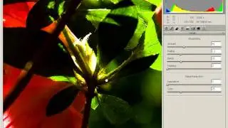 06 01 camera raw