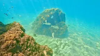 Malaga to Marbella: Swimming, Scuba, Free Diving and Snorkeling Paradise | 4K