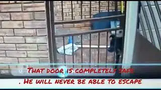 Zeus, the escape artist !