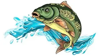 What bait does the fish prefer?  Какую приманку предпочитает рыба?