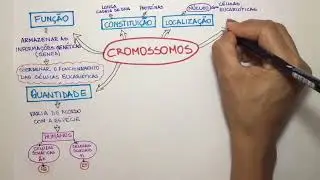 Cromossomos