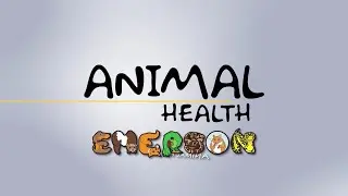 Animal Health (Charlie) - 09/05/24