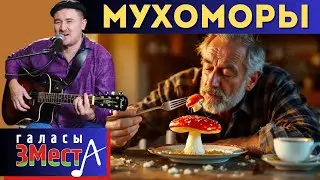 Мухоморы  -  Галасы ЗМеста
