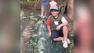 Metro zoo Miami