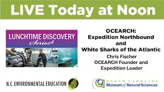 Lunchtime Discovery: OCEARCH - Expedition Northbound and White Sharks of the Atlantic