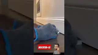 "DIY: Instalação de Rodapés em Casa"