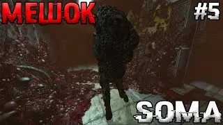 ЖАРУЛЬКА ПОШЛА! Soma №5